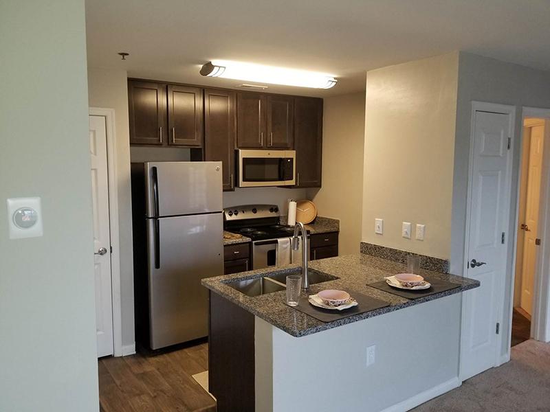 Apartment kitchen at Bridgewater at Town Center have granite-style counters and stainless steel appliances.