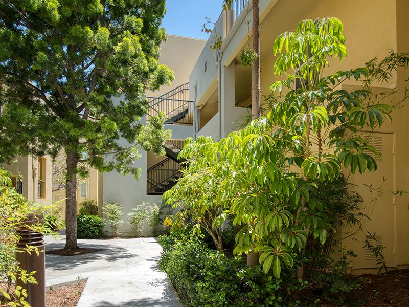 Exterior | Sunrose Apartments