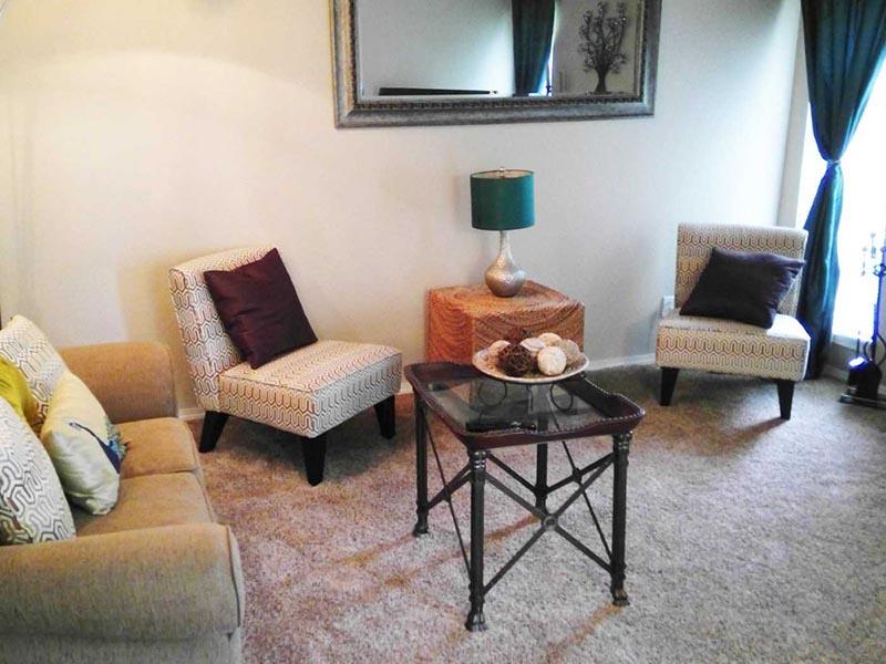 Living Room - Family Room - Living Area