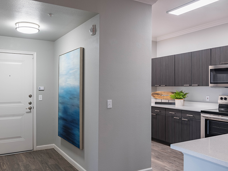 Open Floorplans | Serafina Apartments