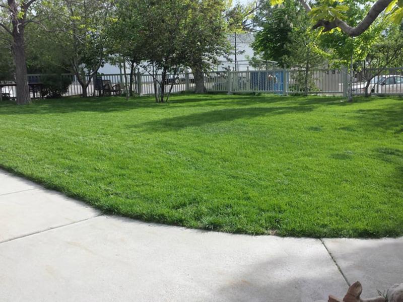 Pet Friendly Apartments in Tooele, UT