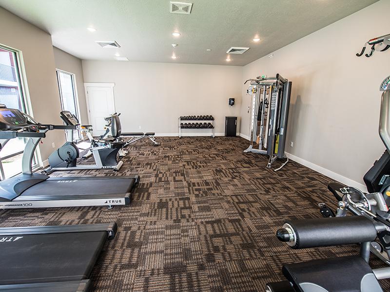 Fitness Center | Mill Point Vineyard Apartments For Rent