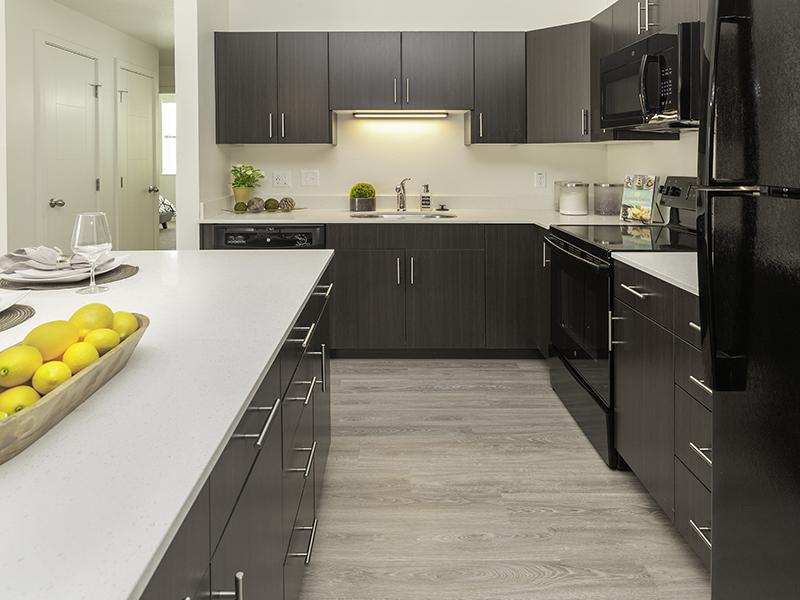 Kitchen | Paxton 365 Apartments