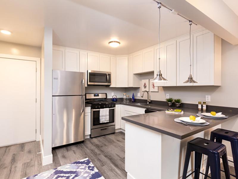Stainless Steel Appliances | Solis Garden Apartmen