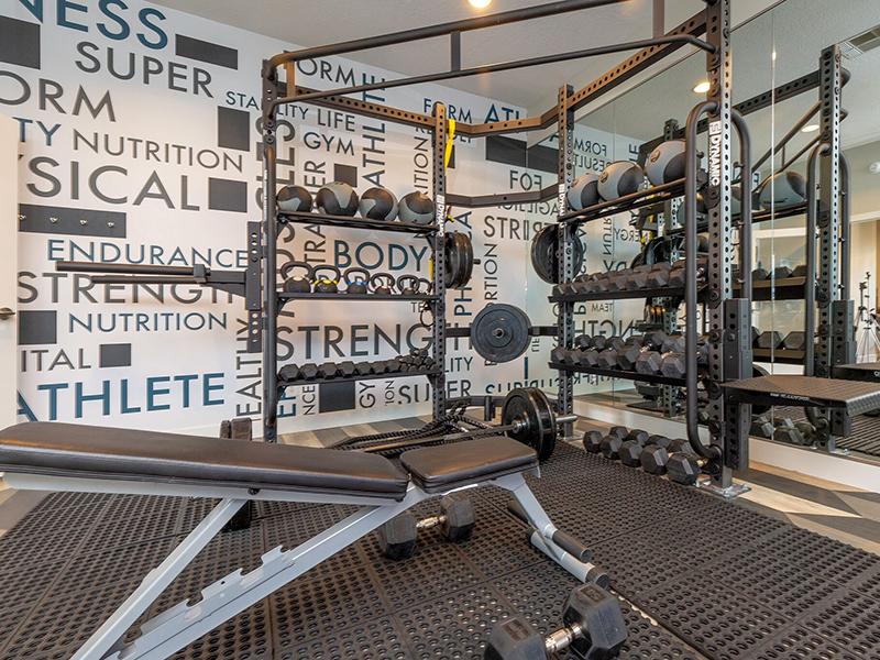 Gym Overview | Wilshire Place Apartments