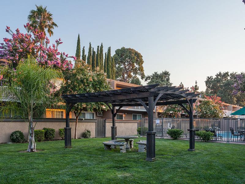 Pergola Picnic Area - Sun Valley Apartments