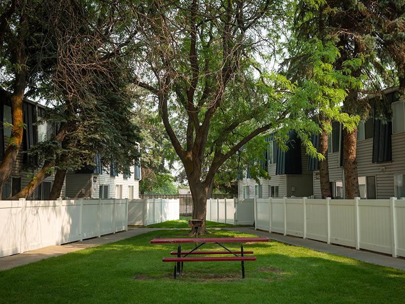 Picnic Table | Hidden Pointe