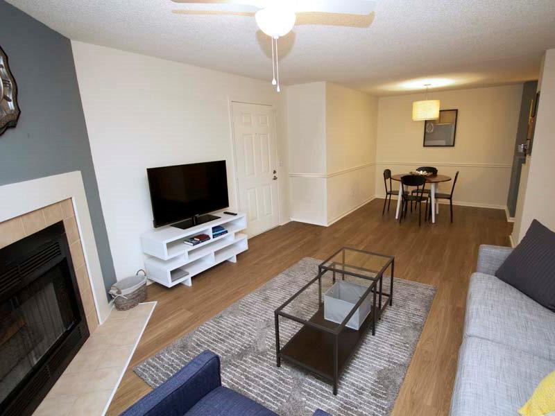 Living Room - Family Room - Living Area