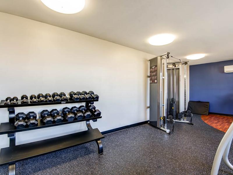 Weight lifting equipment and free weights in the gym at Tech Center Apartments in Newport News.