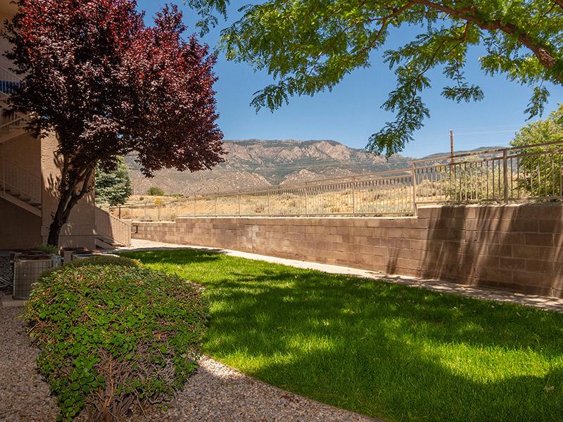 Views | Allegro at Tanoan Albuquerque | Roma
