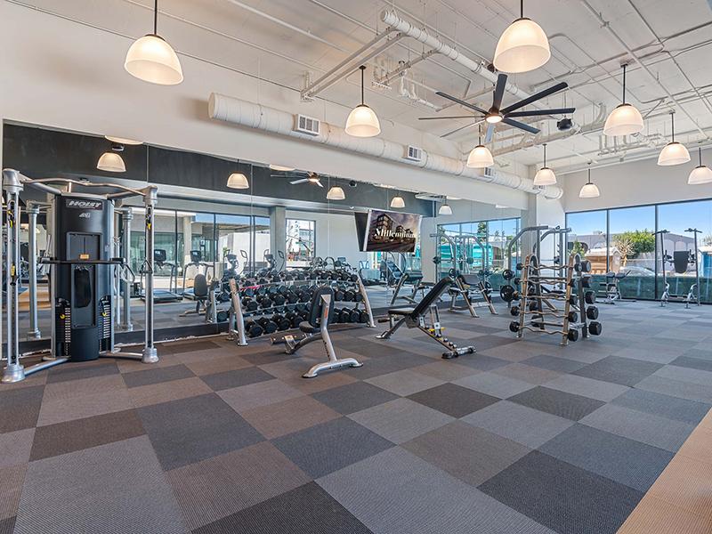 Apartments with a Gym | Millennium South Bay