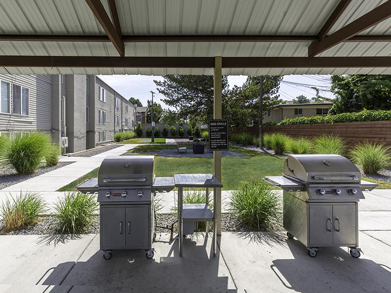 BBQ Area | The Shenandoah