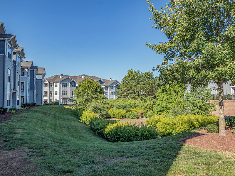 Grounds | Crest at Brier Creek