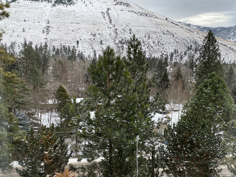 Apartments Near Nature | Mountainwood Estates Apartments in Missoula, MT