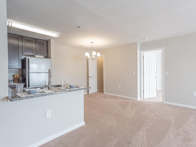 Carpeted model apartment at Bridgewater at Town Center Apartments in Hampton with a kitchen, dining area and living room.