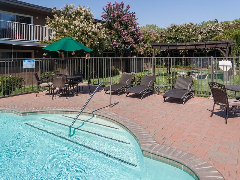 Pool - Sun Valley - Pleasant Hill, California