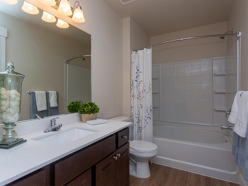 Bathroom | Meadows at Park Avenue