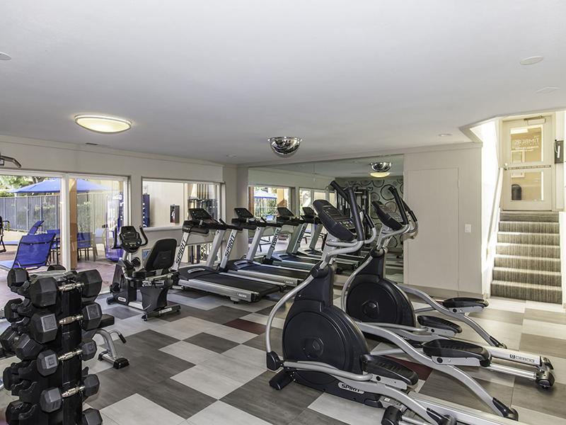 Fitness Center | The Timbers Apartments in Hayward, CA