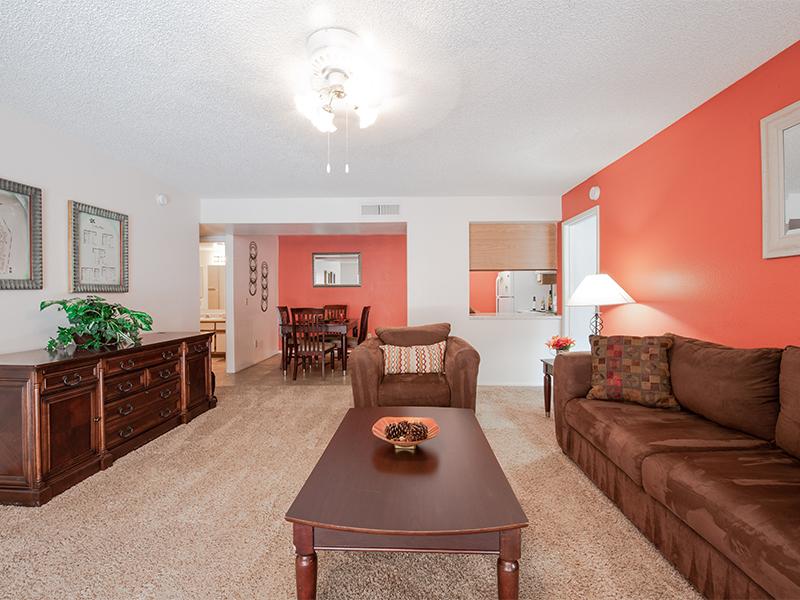 Living Area Ventana Palms