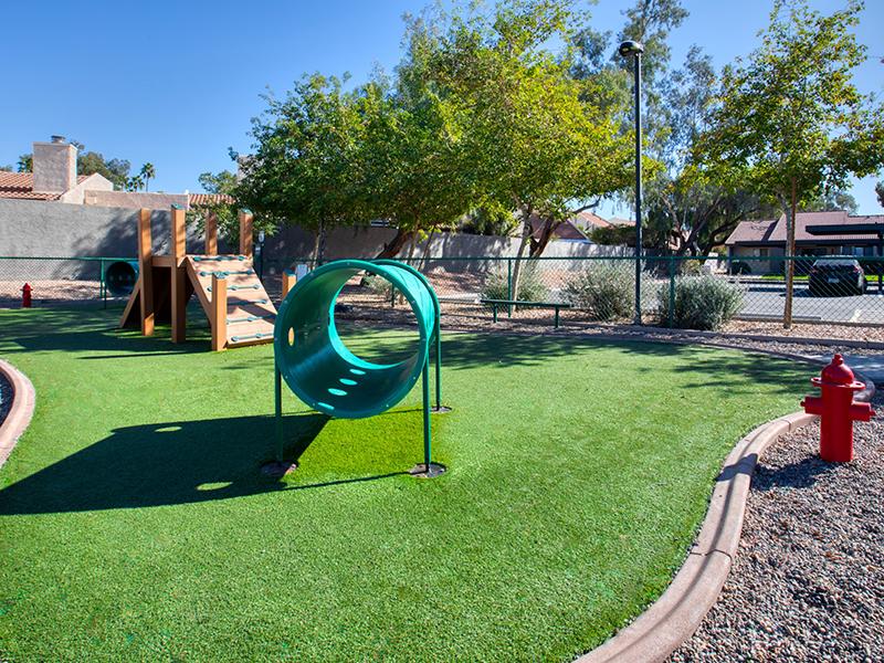 Dog Park | Willowcreek