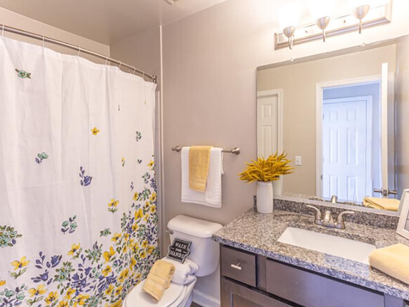 Apartments Bridgewater at Town Center have bathrooms with tub showers, toilets and vanity sinks. 