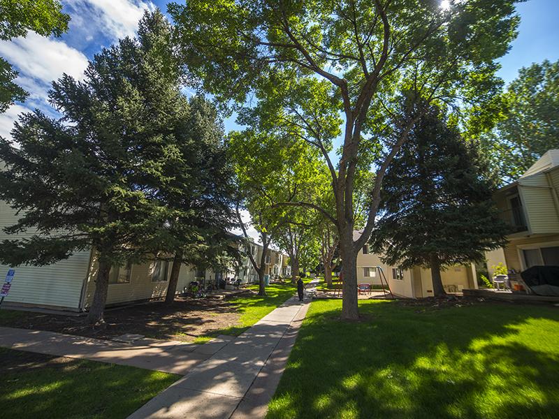Walking Path | Falcon Run Apartments