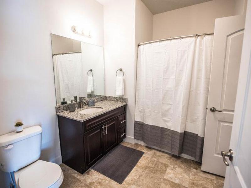 Tower view- Apartments in Ogden Bathroom A