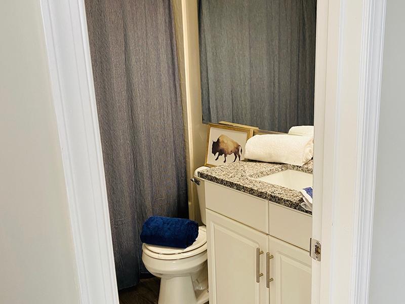A toilet and vanity sink in the bathroom at The Lakes at Town Center Apartments in Hampton.