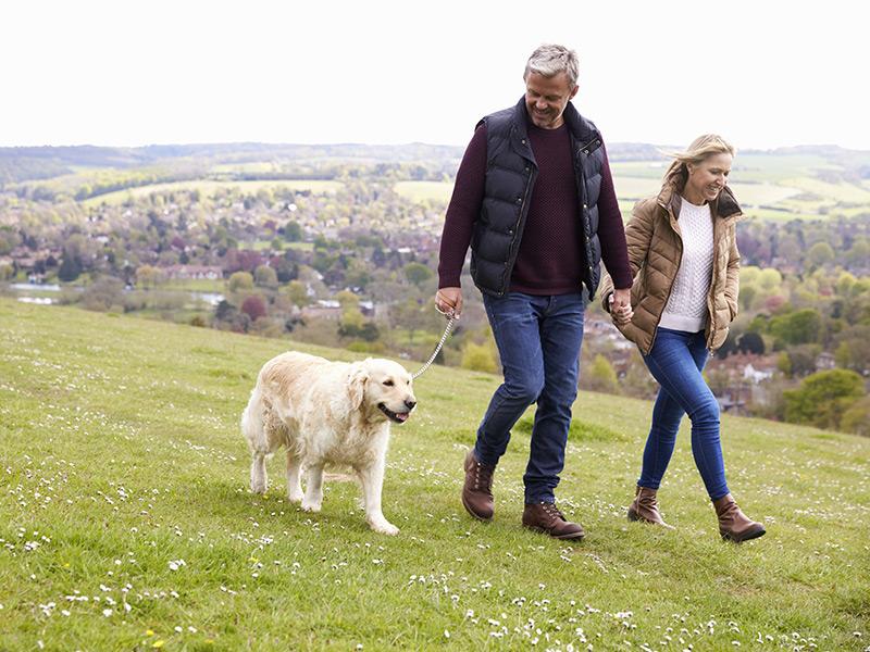 Pet-Friendly Apartments in Heber, UT