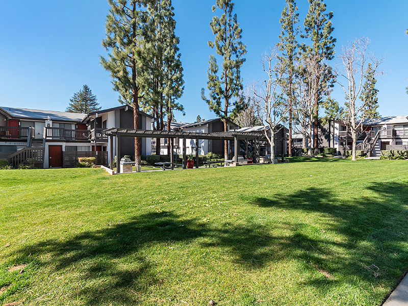 Beautiful Landscaping | Portola Redlands Apartments in Redlands, CA