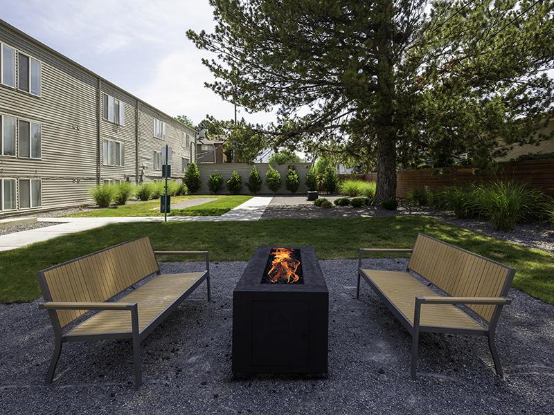 Firepit | The Shenandoah