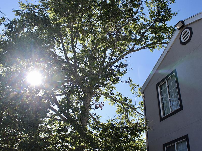Building Exterior | Downtown West Apartments in Salt Lake City, UT