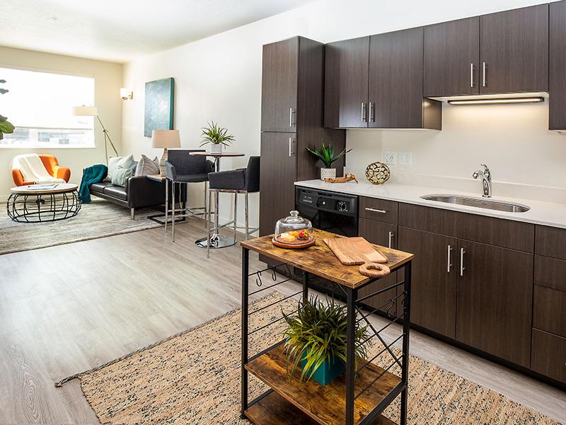 Kitchen & Living Room | Paxton 365 Apartments