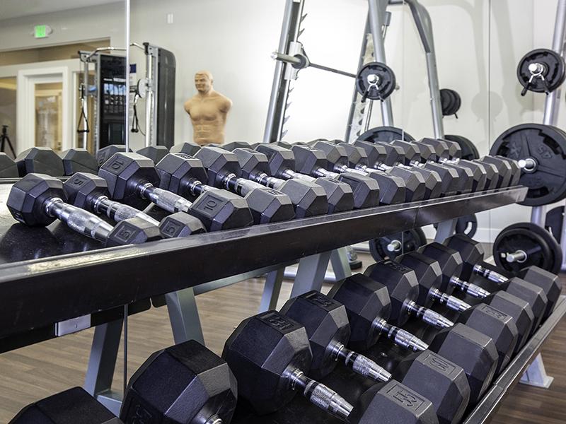 Free Weights | Alpine Meadows Apartments