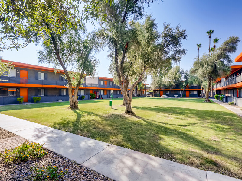Courtyard | Omnia McClintock Apartments in Tempe, AZ