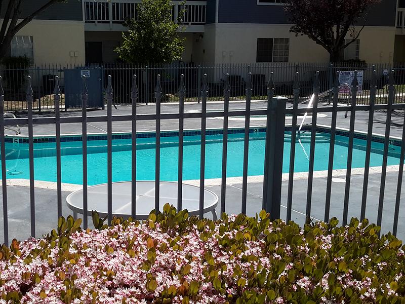 Outdoor Pool | The Cape