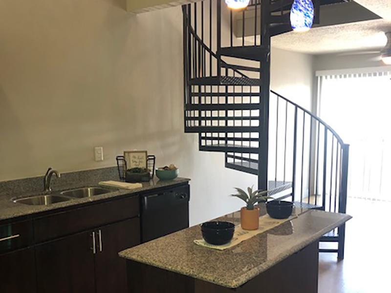 Apartment Interior | Lotus Apartments