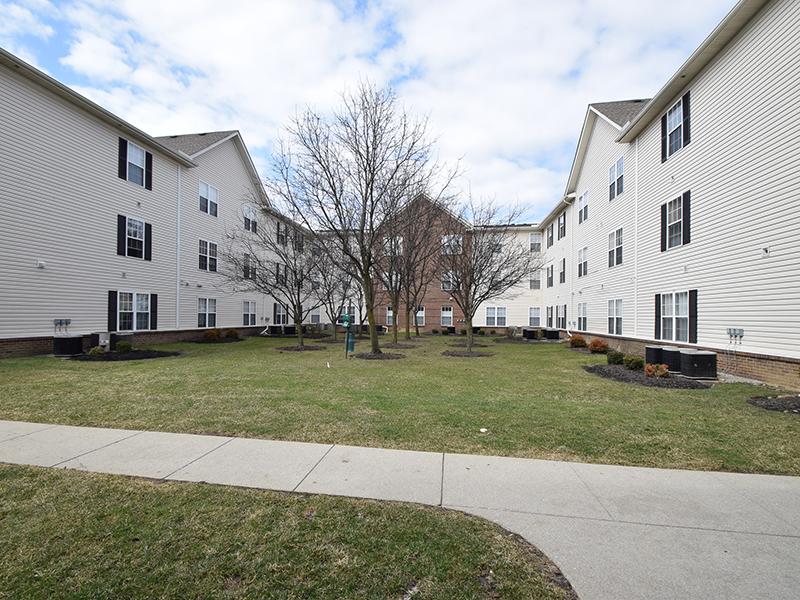 Building | Enclave at Albany Park