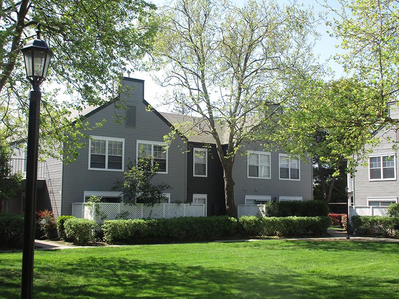 Courtyard | The Charleston Apartments