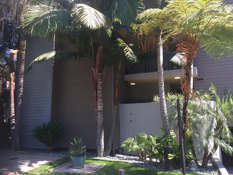 Exterior | Los Feliz