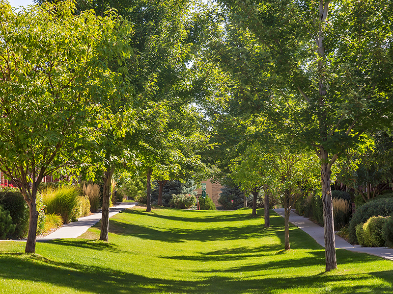 Professional Landscaping | Enclave Rigden Farm Townhomes