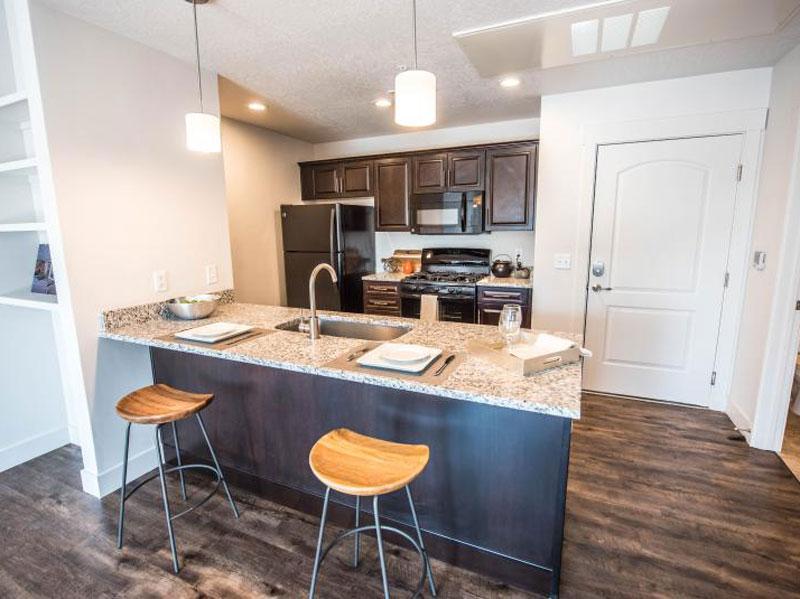 Tower view- Apartments in Ogden Kitchen Overview