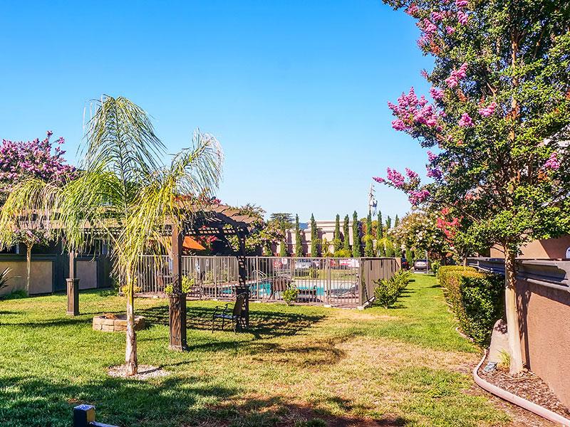 Sitting Area - Picnic - Pergola - Sun Valley