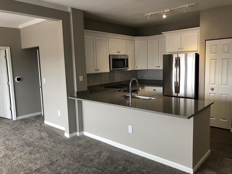 Living Room & Kitchen | River Run at Naperville