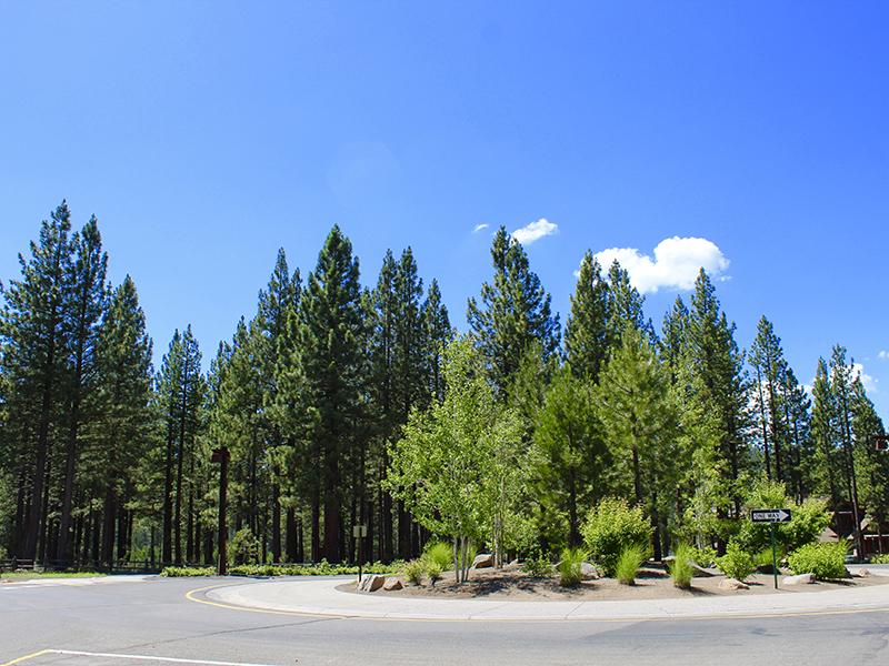 Coburn Crossing Community Landscapes