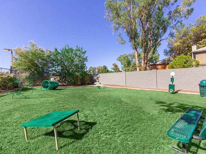 Dog Park | Fairways on Thunderbird