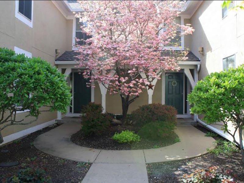 Cherry Blossom Entry - Double Entry Townhome