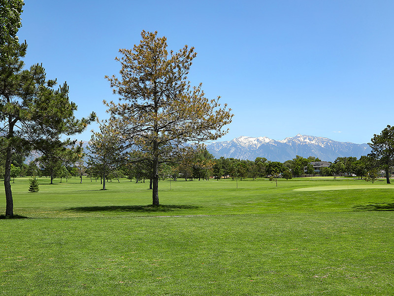 Apartments Next to a Golf Course | 47Seventy Settler's Point