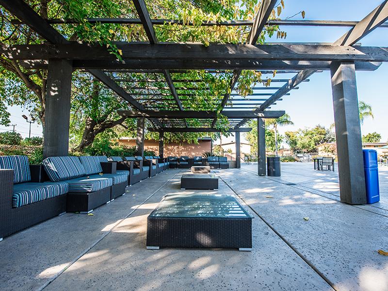 Poolside Lounge | The Eleven Hundred Apartments in Sacramento CA