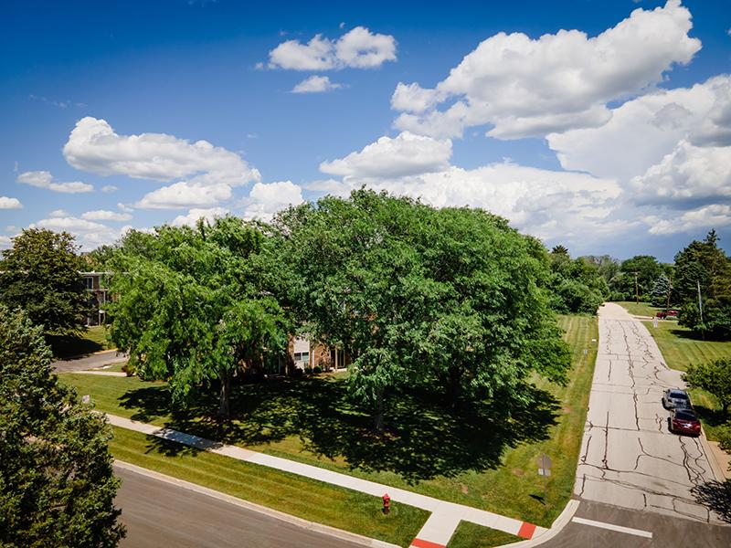 Great Location | Wellington Creek Apartments
